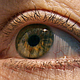 Image for article titled Please Stare Into This Hallucination-Inducing Flicker, for Science